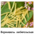 Вермишель Любительская (крафт мешок) 25 кг